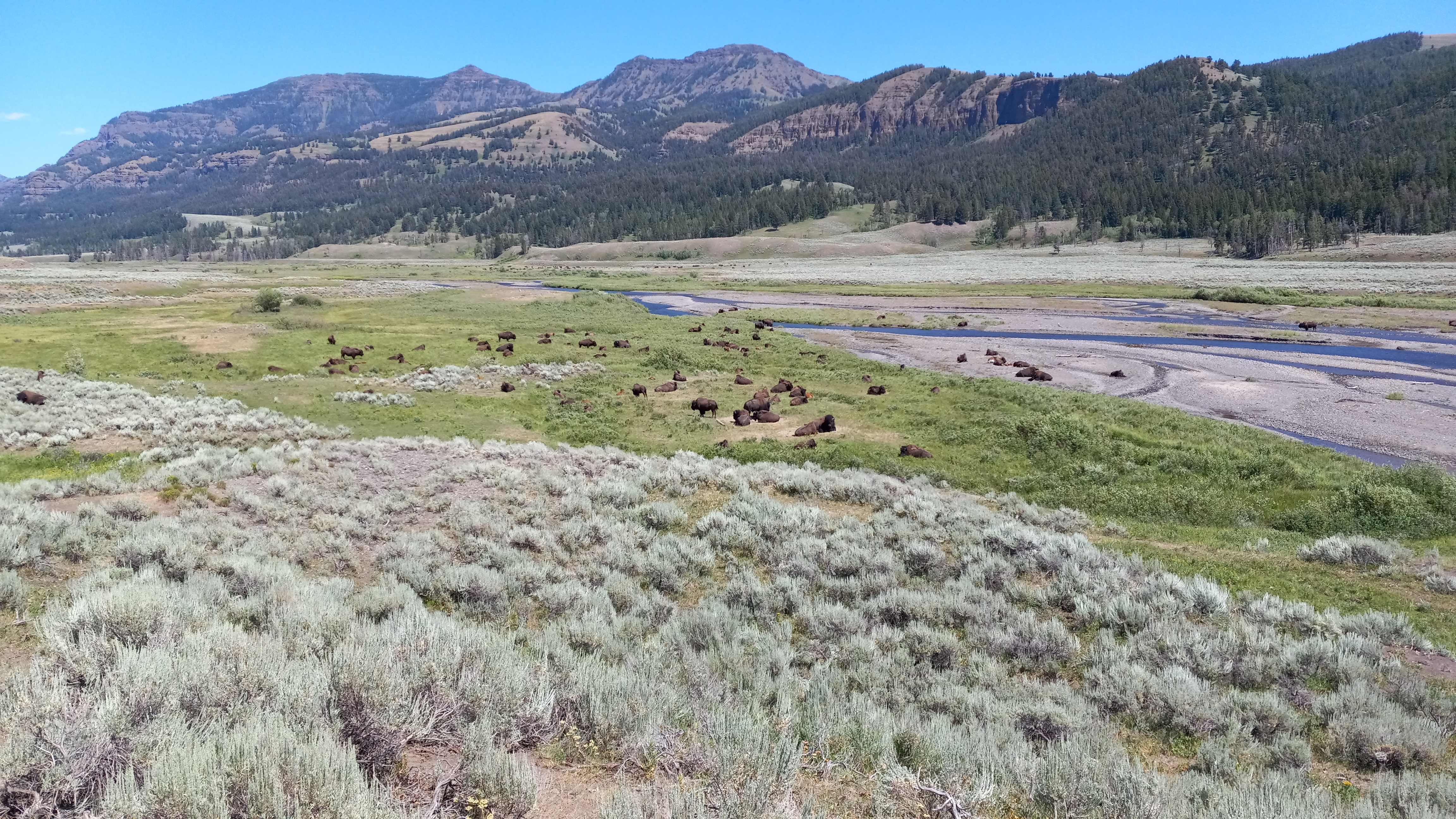 Yellowstone